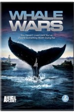 Watch Whale Wars Alluc